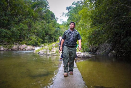 រដ្ឋមន្ដ្រីបរិស្ថានកម្ពុជាថាការកាប់ព្រៃឈើខុសច្បាប់ក្នុងទ្រង់ទ្រាយធំនៅកម្ពុជាលែងមានទៀតហើយ