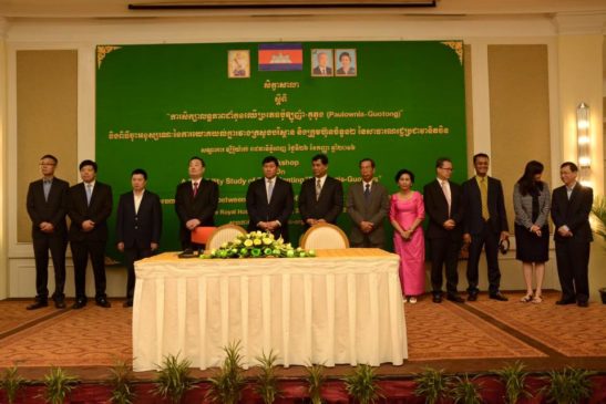 ការសិក្សាលទ្ធភាពដាំកូនឈើប្រភេទប៉ូឡូញ៉ា-គូតុង នៅកម្ពុជា