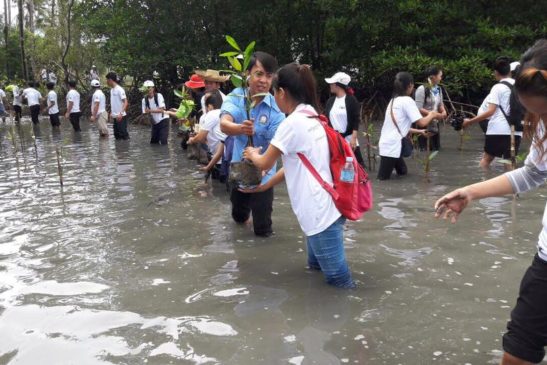 បរិស្ថានដើម្បីសហគមន៍ សហគមន៍ដើម្បីបរិស្ថាន