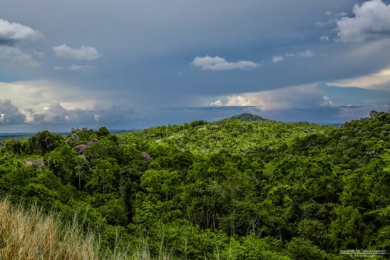 សហភាពអឺរ៉ុបអបអរសាទរចំពោះការពង្រីកតំបន់បេតិកភណ្ឌធម្មជាតិរហូត៩០ម៉ឺនហិកតា