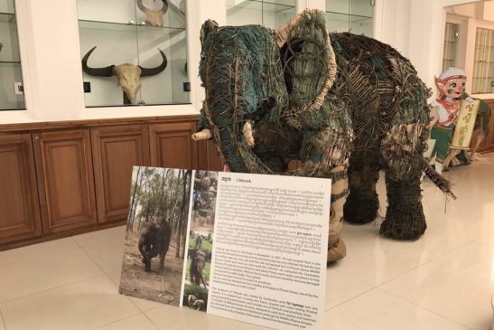 រូបសំណាកកូនដំរីធ្វើពីអន្ទាក់ព្រានព្រៃដាស់ស្មារតីសាធារណជនឱ្យរួមទប់ស្កាត់ការបរបាញ់សត្វព្រៃ និងស្រឡាញ់ធនធានធម្មជាតិ