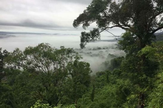 ឧទ្យានជាតិជួរភ្នំក្រវាញកណ្តាលក្នុងខេត្តកោះកុង៖ តំបន់ពិសេសដែលអ្នកទេសចរផ្សងព្រេងគួរសាកល្បង