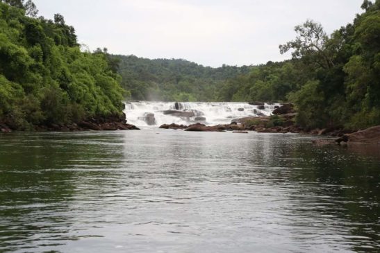 ដែនជម្រកសត្វព្រៃតាតៃ៖ សម្រស់ទឹកធ្លាក់ និងទេសភាពតាមដងស្ទឹង