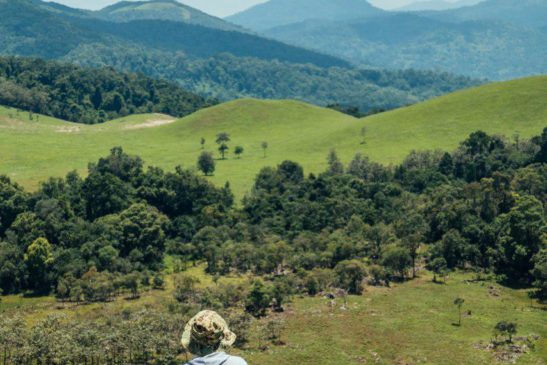 ឧទ្យានជាតិវីរៈជ័យ៖ សក្តានុពលលើសត្វព្រៃ និងសម្រស់ត្រកាលនៃធម្មជាតិដែលអ្នកធ្វើដំណើរផ្សងព្រេងគួរសាកល្បង