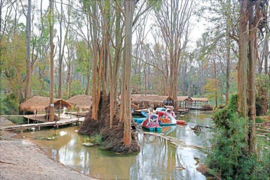 សហគមន៍ទេសចរណ៍ធម្មជាតិ កោះខេលី កំពុងបង្អួតសម្រស់ទាក់ទាញភ្ញៀវទេសចរក្នុងខេត្ត