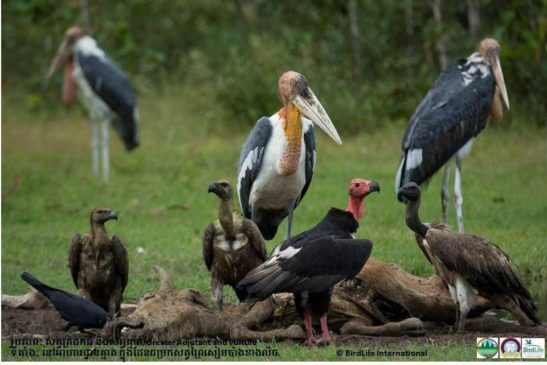 ដែនជម្រកសត្វព្រៃភ្នំព្រេច៖ តំបន់ធម្មជាតិដែលលាក់សត្វព្រៃយ៉ាងតិច៣០ប្រភេទដ៏គួរឱ្យភ្ជាក់ផ្អើល