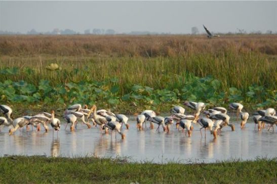 កម្ពុជាមានតំបន់ដីសើមដែលមានតម្លៃជាលក្ខណៈអន្តរជាតិប្រមាណជាង៧ម៉ឺន៥ពាន់ហិកតាខណៈដែលតំបន់ទី៥កំពុងសិក្សាដាក់បញ្ចូល