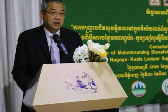 ការបញ្ជ្រាបជីវសុវត្ថិភាពទៅក្នុងវិស័យពាក់ព័ន្ធ ដោយផ្ដោតលើពិធីសារកាតាហ្សេណា ស្តីពីជីវសុវត្ថិភាព និងពិធីសារបន្ថែមណាហ្គូយ៉ា-កូឡាឡាំពួរស្តីពីការទទួលខុសត្រូវផ្នែកច្បាប់ និងសំណងការខូចខាត