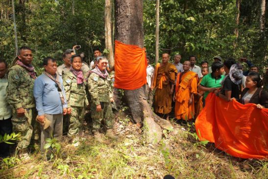 ក្រសួងបរិស្ថាន និងប្រជាសហគមន៍ព្រៃឡង់ មកពីខេត្តចំនួន៤ ប្រារព្ធពិធីបំបួសដើមឈើ ដើម្បីពង្រឹងការគ្រប់គ្រងធនធានធម្មជាតិ