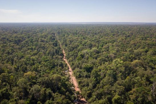 ទិដ្ឋភាពព្រៃឈើនៅដែនជម្រកសត្វព្រៃព្រៃឡង់ដែលមានទំហំជាង ៤៣ម៉ឺនហិកតាស្ថិតក្នុងភូមិសាស្ត្រ ខេត្តកំពង់ធំ ព្រះវិហារ ស្ទឹងត្រែង ក្រចេះ