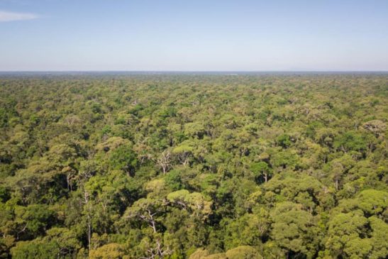 ក្រសួងបរិស្ថាន សម្តែងការសោកស្តាយ ចំពោះឥរិយាបថបំពានច្បាប់របស់ក្រុមសមាជិកបណ្តាញព្រៃឡង់ លើការចុះបញ្ចី និង សកម្មភាពល្មើសច្បាប់ស្តីពី «តំបន់ការពារធម្មជាតិ»