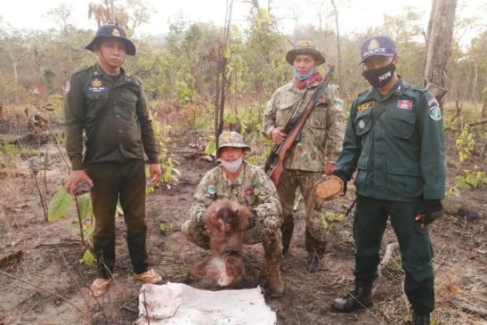 សកម្មភាពចុះល្បាតរបស់មន្ត្រីឧទ្យានុរក្សនៃតំបន់ប្រើប្រាស់ច្រើនយ៉ាងសំឡូត ភូមិសាស្រ្តខេត្តបាត់ដំបង