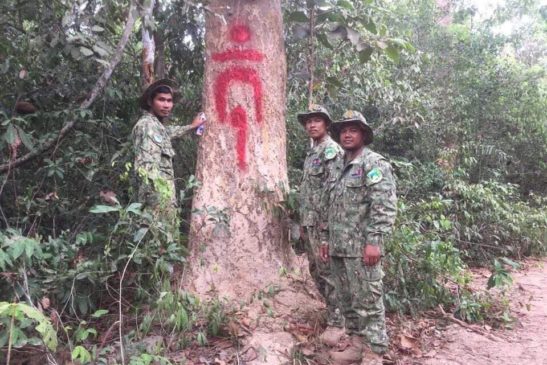 មន្ទីរបរិស្ថានខេត្តសៀមរាប