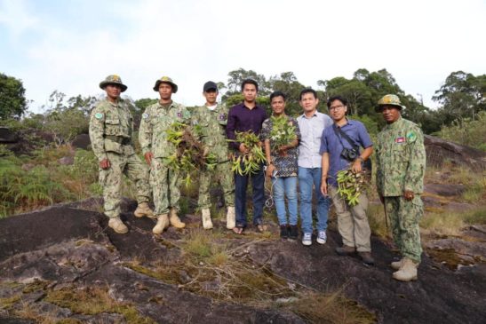 តោះ! មកស្គាល់កេសរកូលព្រៃក្នុងតំបន់ការពារធម្មជាតិ