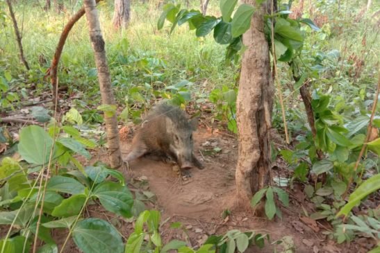 មន្ទីរបរិស្ថានខេត្តឧត្តរមានជ័យ