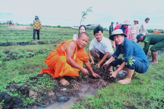 កូនឈើចំនួន៤ម៉ឺនដើម ជាប្រភេទព្រៃឈើលិចទឹក ត្រូវបានដាំស្តារព្រៃឡើងវិញនៅលើផ្ទៃដី៤០ហិកតា ក្នុងតំបន់៣នៃភាគខាងជើងបឹងទន្លេសាប