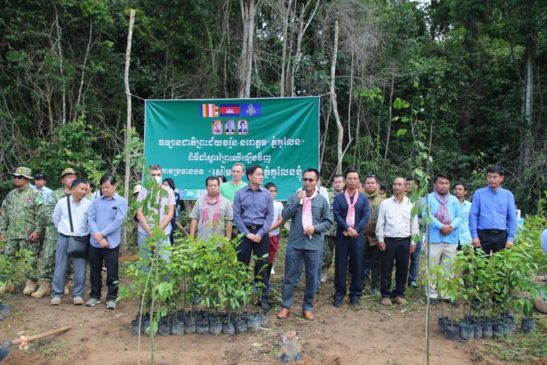 មន្ទីរបរិស្ថានខេត្តសៀមរាប រៀបចំដាំកូនឈើ ដើម្បីស្តារព្រៃឈើក្នុងឧទ្យានជាតិព្រះជ័យវរ្ម័ន-នរោត្តម ” ភ្នំគូលែន”