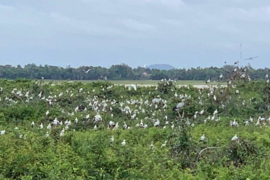 ក្រុមការងារបច្ចេកទេសចុះកំណត់អត្តសញ្ញាណប្រជាពលរដ្ឋការពារសត្វស្លាបនៅខេត្តព្រៃវែង