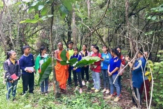 យុវជនផ្តើមគំនិតផលិតចានធ្វើពីស្លឹកឈើប្រើជំនួសផ្លាស្ទិក