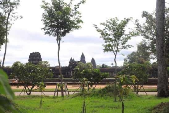 បរិវេណមុខប្រាសាទអង្គរវត្តបានប្រែមុខមាត់ថ្មីក្រោយមានការអភិវឌ្ឍជាបន្តបន្ទាប់