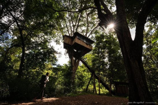 ដែនអភិរក្សភ្នំត្នោតភ្នំពក