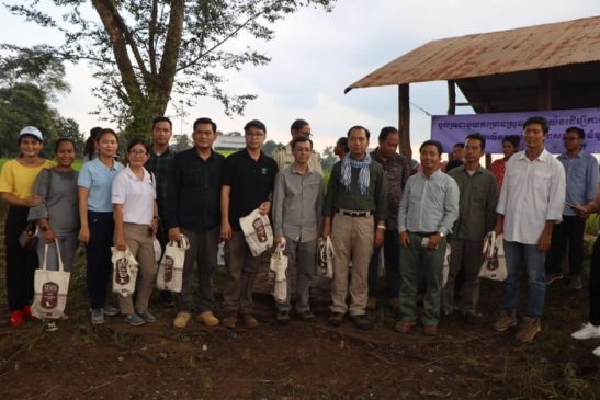 គម្រោងស្រូវសត្វត្រយង បានពង្រីកខ្លួនមកកាន់ខេត្តមណ្ឌលគិរី បន្ទាប់ពីជោគជ័យនៅព្រះវិហារ