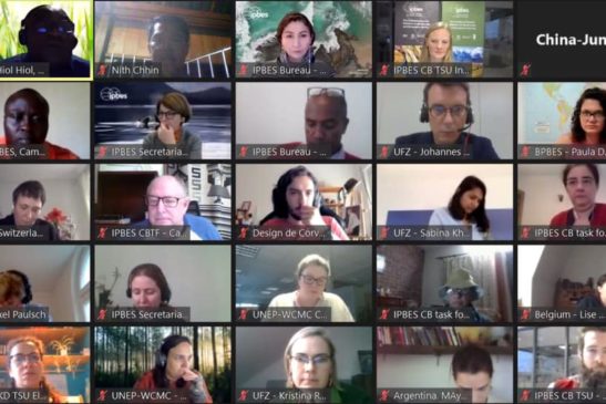 កិច្ចប្រជុំតាមប្រព័ន្ធ Online លើកទី៤ស្តីពី “វេទិកាកសាងសមត្ថភាពសម្រាប់វេទិកាវិទ្យាសាស្ត្រ-នយោបាយអន្តររដ្ឋាភិបាលស្តីពីជីវៈចម្រុះ និងសេវាកម្មប្រព័ន្ធអេកូឡូស៊ី”