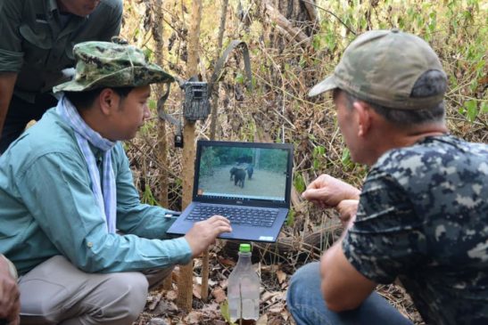សកម្មជនបរិស្ថាន លោក បេន៖ បទល្មើសបរបាញ់សត្វព្រៃ និងកាប់បំផ្លាញព្រៃឈើ នៅតំបន់ភ្នំត្នោត-ភ្នំពក បានថយចុះយ៉ាងច្រើន 