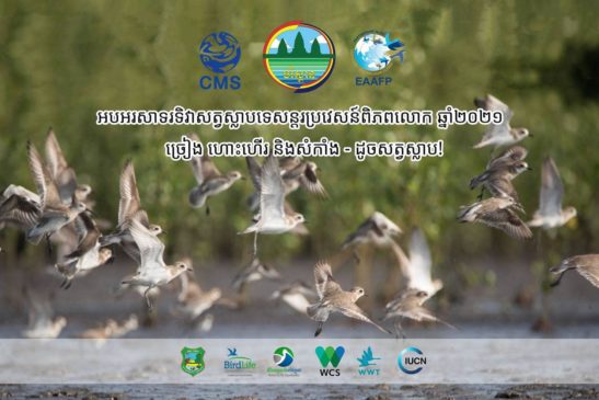 អបអរសាទរទិវាសត្វស្លាបទេសន្តរប្រវេសន៍ពិភពលោក ឆ្នាំ២០២១ ក្រោមប្រធានបទ ច្រៀង ហោះហើរ និងសំកាំង – ដូចសត្វស្លាប!