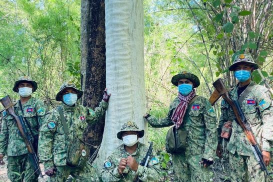 ដើមភ្លៅនាងរលោងស្រិលនិងស្រស់ស្អាត នៅដែនជម្រកសត្វព្រៃលំផាត់