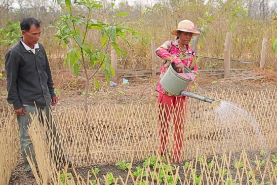 លើកស្ទួយជីវភាពប្រជាសហគមន៍ស្រែធំម្លឹង តាមរយៈការដាំបន្លែ និងចិញ្ចឹមសត្វ(មានវីដេអូ)
