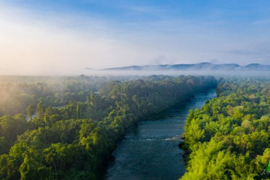 ការបោះជំហានក្នុងទីផ្សារឥណទានកាបូន បញ្ជាក់ពីភាពប្រសើរឡើងនៃកិច្ចការពារតំបន់ការពារធម្មជាតិរបស់កម្ពុជា