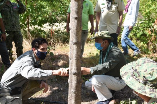 ចម្ការឈើដាំដើរតួនាទីសំខាន់ ខណៈការនាំចេញនិងប្រើប្រាស់ឈើពីព្រៃធម្មជាតិត្រូវបានរឹតបន្តឹងជាសកល