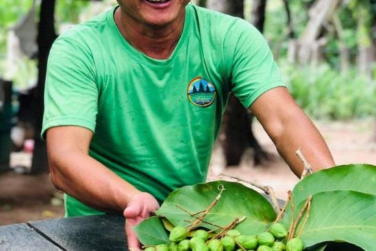 ប្រជាពលរដ្ឋមួយចំនួននៅខេត្ដឧត្ដរមានជ័យ និងមួយចំនួនទៀតមកពីស្រុកថ្មពួកខេត្ដបន្ទាយមានជ័យ ចាប់ផ្តើមទទួលផលអនុផលព្រៃឈើពីក្នុងតំបន់ដែនជម្រសត្វព្រៃសង្ឃរុក្ខាវ័ន