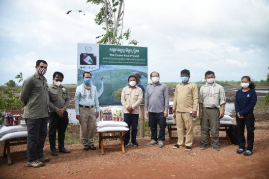 ក្រសួងបរិស្ថានគ្រោងនឹងបង្កើតយីហោ«ស្រូវមិត្តក្រៀល»ដើម្បីលើកកម្ពស់ជីវភាពសហគមន៍មូលដ្ឋាន និងការអភិរក្សសត្វក្រៀលនៅកម្ពុជា