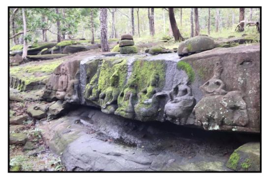 តួនាទី និងរចនាសម្ព័ន្ធត្រពាំងអង្គខ្នារកោះកេរ