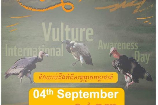 អបអរសាទរ ទិវាយល់ដឹងសត្វត្មាតអន្តរជាតិ ឆ្នាំ២០២១!