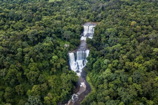 កម្ពុជាសម្រេចជោគជ័យលើការអនុវត្តផែនការយុទ្ធសាស្ត្រទីក្រុងអាជី AICHI សម្រាប់ការអភិរក្សជីវៈចម្រុះសកល