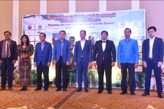 ក្រសួងបរិស្ថានប្រកាសបន្តគាំទ្រ សមាគមអភិរក្សដំរីអៃរាវត្តា Airavata Elephant Foundation ក្នុងការចូលរួមការពារ និងអភិរក្សសត្វដំរី ដែលជាសត្វកម្រ និងជិតផុតពូជ