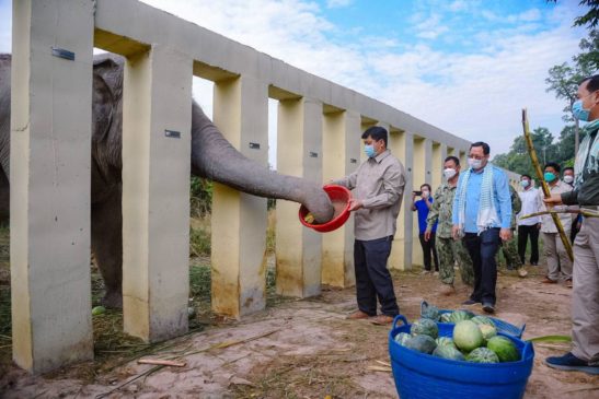 ឯកឧត្តម សាយ សំអាល់ រដ្ឋមន្ត្រីក្រសួងបរិស្ថាន និងប្រតិភូបានចូលពិនិត្យពីស្ថានភាពសត្វដំរីឈ្មោះ ខាវ៉ាន់