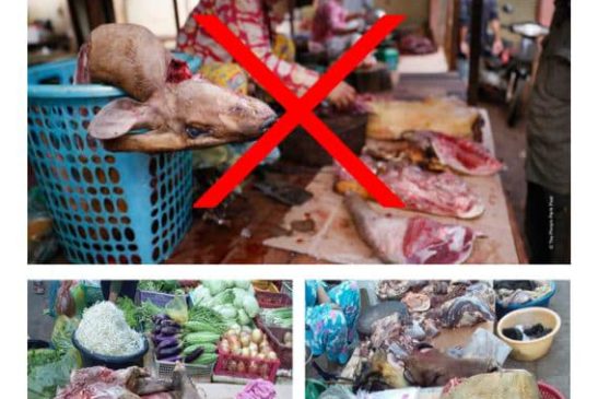 ការមិនបរិភោគ មិនទិញ មិនលក់សាច់ និងផលិតផលសត្វព្រៃគឺជាការចូលរួមបញ្ចប់វិបត្តិអន្ទាក់! បើគ្មានតម្រូវការ ក៏គ្មានការផ្គត់ផ្គង់!