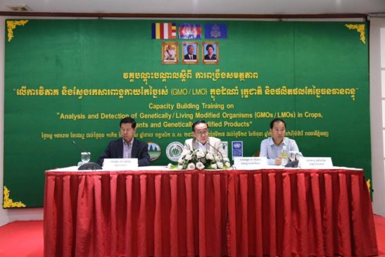 ការពង្រឹងសមត្ថភាពមន្ត្រីជំនាញ ស្តីពីការវិភាគ និងស្វែងរកវត្តមាន សារពាង្គកាយកែច្នៃរស់ (LMO) ក្នុងដំណាំ រុក្ខជាតិ និងផលិតផល កែច្នៃធនធានពន្ធុ