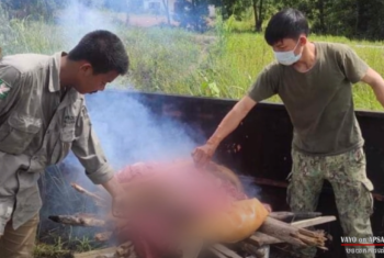 យុទ្ធនាការអន្ទាក់សូន្យដើម្បីកុំសូន្យសត្វព្រៃ