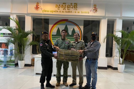 កូនសត្វខ្លាឃ្មុំតូចដែលជួយសង្គ្រោះពីខេត្តមណ្ឌលគិរីមានសុខភាពល្អ និងកំពុងស្ថិតក្រោមការថែទាំរបស់អ្នកជំនាញនៃអង្គការ Free the Bears