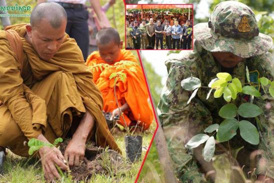រដ្ឋមន្រ្តីក្រសួងបរិស្ថាន ផ្ដល់កូនឈើ ក្នុងទិវាសន្តិភាពអន្តរជាតិ ក្រោមប្រធានបទ «យើងបង្កើនសកម្មភាពដើម្បីសន្តិភាព និងនិរន្តភាព»