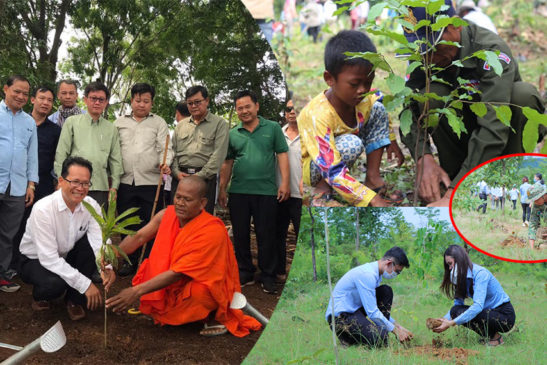រដ្ឋមន្រ្តីក្រសួងបរិស្ថាន ប្រកាសផ្តល់កូនឈើជូនប្រជាពលរដ្ឋ ១លានដើម ក្នុងមួយឆ្នាំ