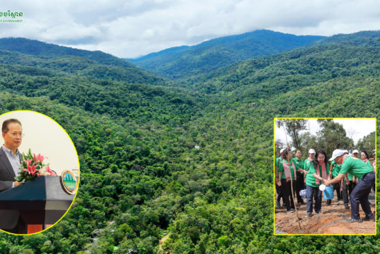 Ministry of Environment Launches Measures to Prevent Natural Resource Crimes