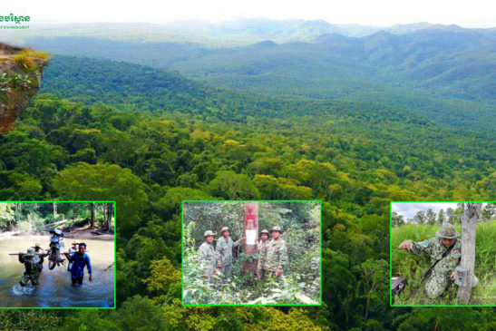 បរិយាយថ្ងៃនេះ៖ ច្បាប់មិនលើកលែងចំពោះបទល្មើសធនធានធម្មជាតិនិងសូមមើលព្រៃទាំងមូល កុំមើលឈើមួយដើម