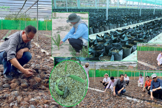 រដ្ឋមន្រ្តីក្រសួងបរិស្ថានប្រកាសផ្តល់កូនឈើ៣០ម៉ឺនដើមក្នុងមួយឆ្នាំ ដើម្បីចូលរួមក្នុងយុទ្ធនាការដាំដើមឈើយ៉ាងតិច ១លានដើមជារៀងរាល់ឆ្នាំ