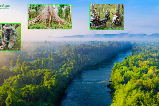 Legal Implications for Natural Resource Offenses: The Complete Problem Beyond the Components